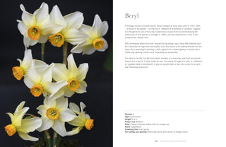 Daffodils - Beautiful Varieties for Home and Garden Book