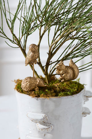 Scurry Plant Sticks - Set of 3