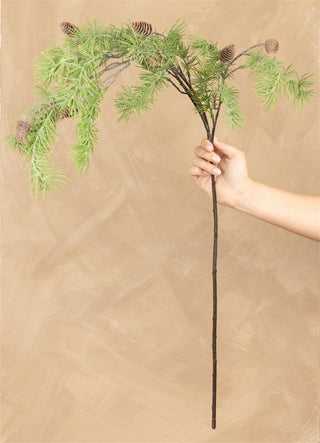 43" Deodara Pine With Pinecones