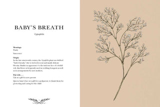 Floriography Book