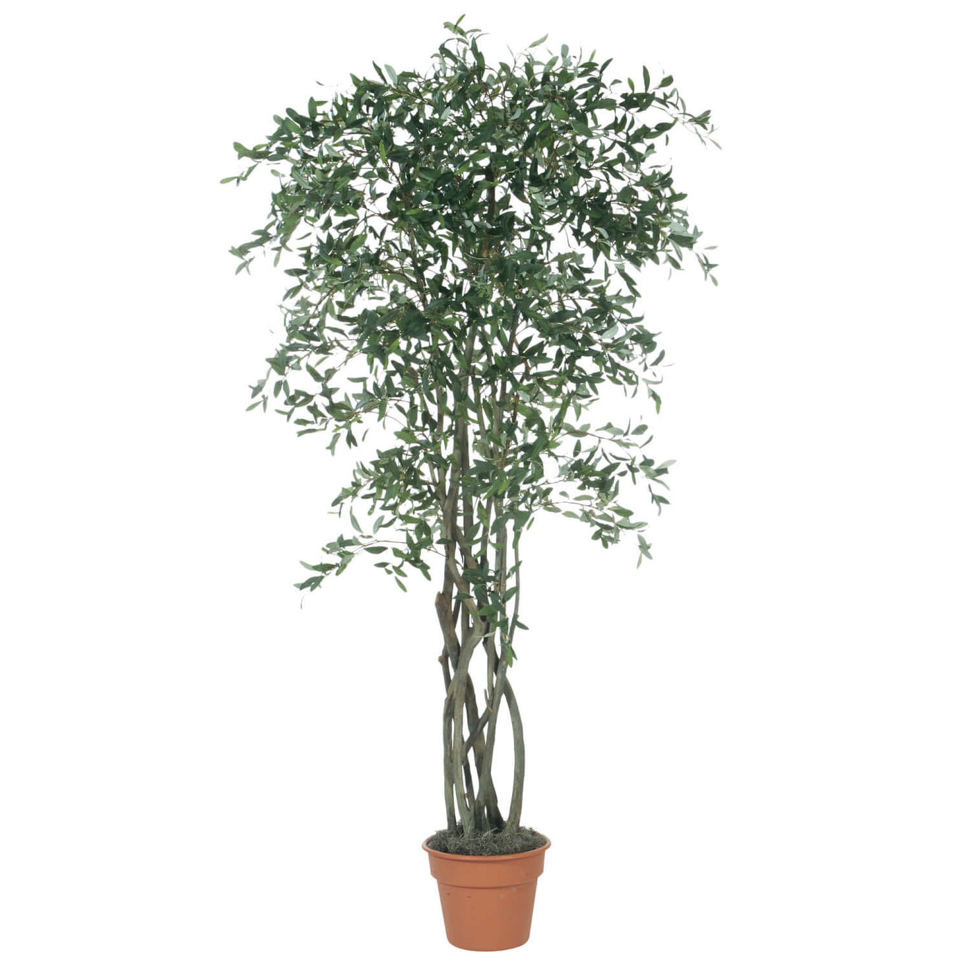 7ft. Faux Olive Tree
