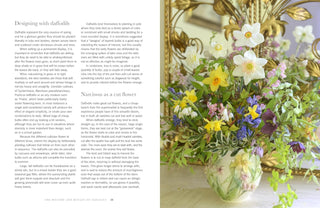 Daffodils - Beautiful Varieties for Home and Garden Book
