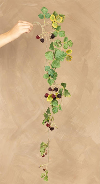 38" Black Raspberry Stem
