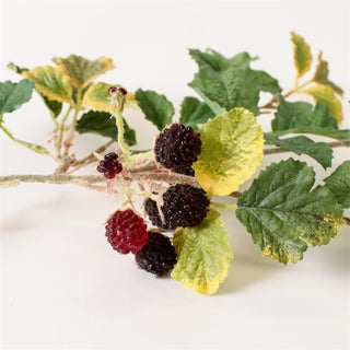 38" Black Raspberry Stem
