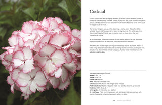 Hydrangeas - Beautiful Varieties for Home and Garden