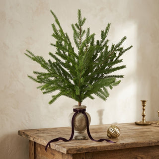 19" Real Touch Norfolk Pine Stem