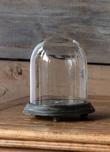 Display Dome Cloche with Black Weathered Base - 8"