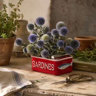 Ceramic Sardine Tin Planter