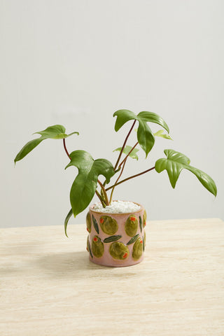 Olive Cucina Pot