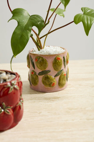 Olive Cucina Pot