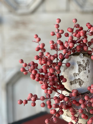9" Frosted Fizzy Berry Candle Ring Wreath with 3.5" Inner