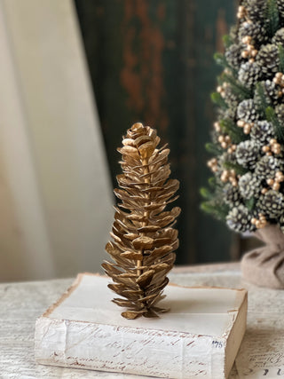 Epaulette Pinecone - Choose Size
