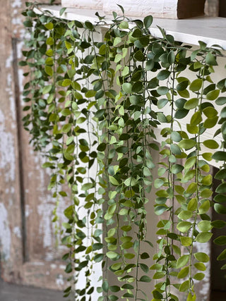 69" Greenveil Weeping Garland