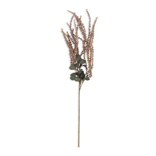 40" Amaranthus Blush Stem
