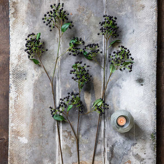 29" Blackened Viburnum Stem