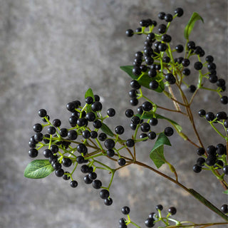29" Blackened Viburnum Stem