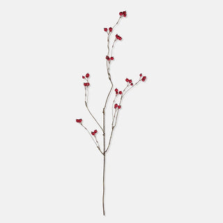 44" Hawthorn Berry Stem