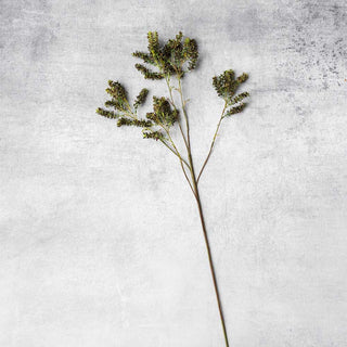 44.5" Mottled Sedge Stem