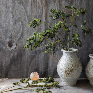 44.5" Mottled Sedge Stem