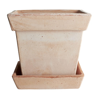Bergs Potters Gaia Rosa Planter - Choose Size
