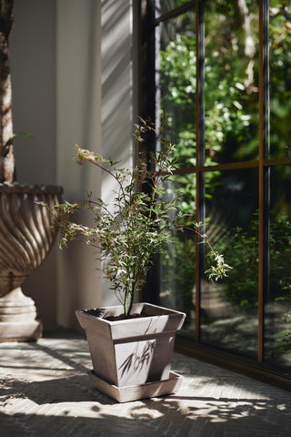 Bergs Potters Gaia Grey Planter -Choose Size