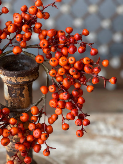 Berries Candle Ring Wreath