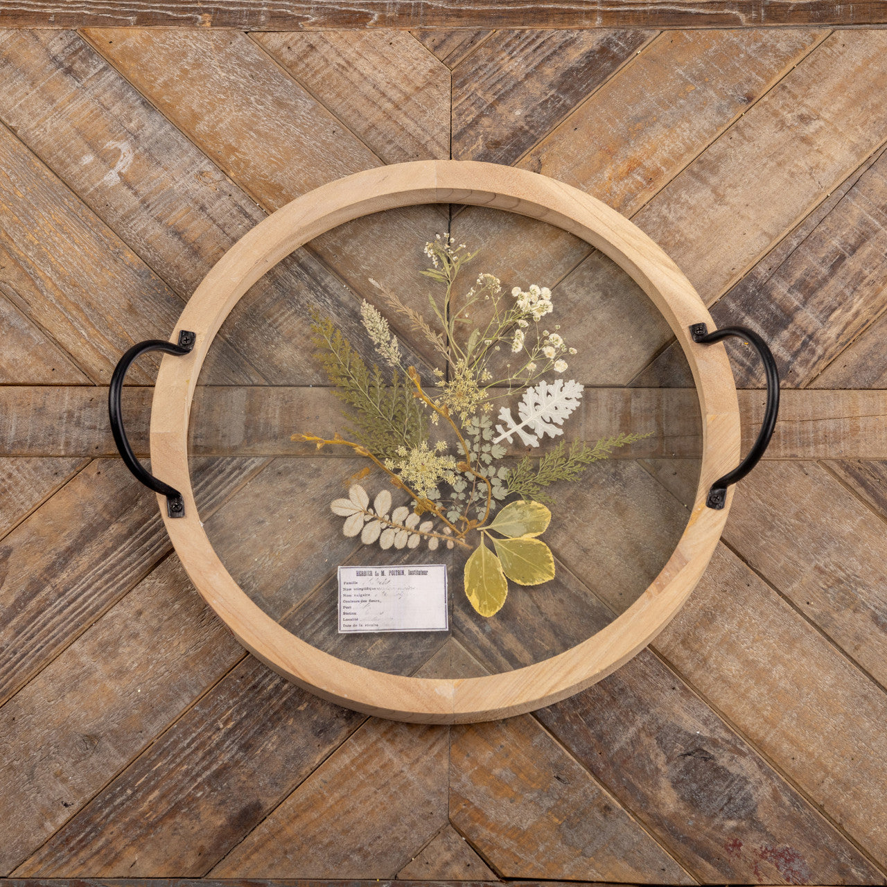 Pressed Mixed Fern Tray