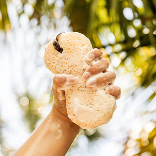 Sweet Grace Body Wash Spone