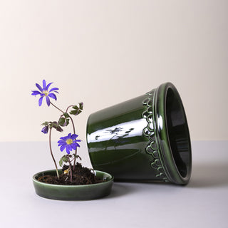 bergs plant pots Bergs Potter Kobenhavner Glazed Emerald Green and Saucer – Cotton & Crete