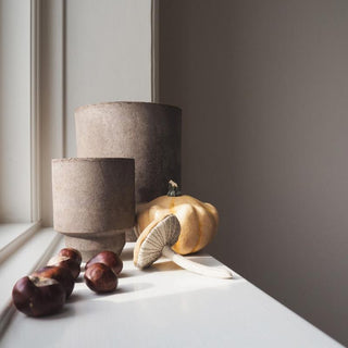 Bergs Potter Hoff Raw Grey Pot - 3.1"