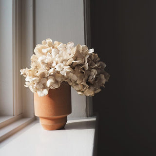 Bergs Potter Hoff Raw Rosa Pot - 3.1"