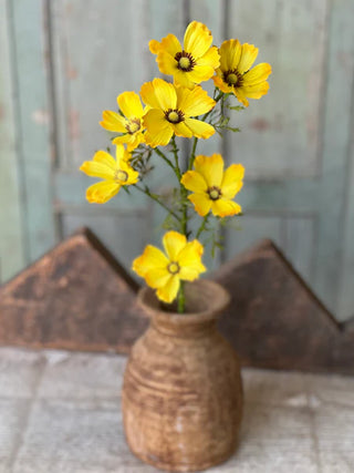 27" Cockle Cosmos Stem - Yellow