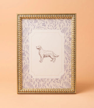 Framed Dog Art Wall Decor