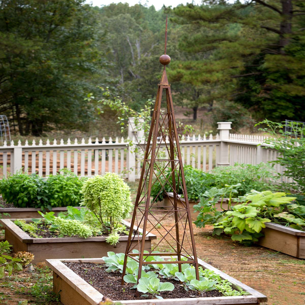 steel plant trellis Metal Garden Trellis