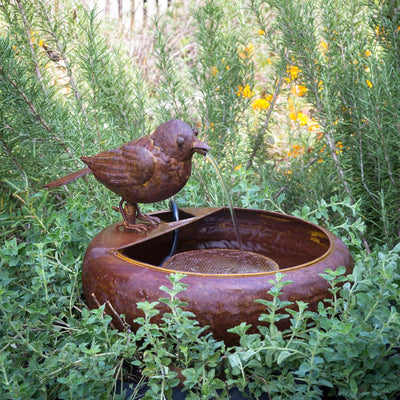 The Little Bird Fountain