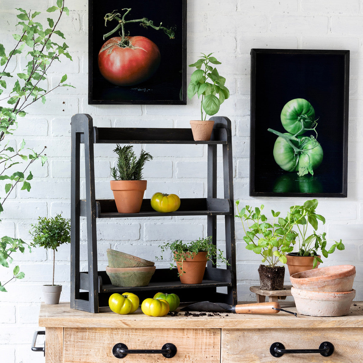 herb plant rack Wooden Herb Rack – Cotton & Crete
