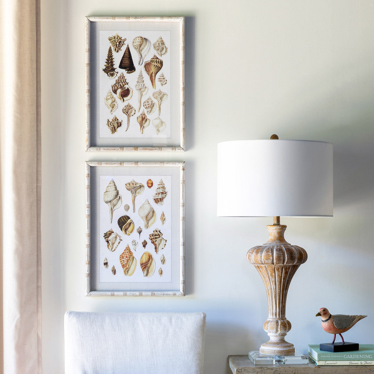 Set of 2 Framed Seashell Prints