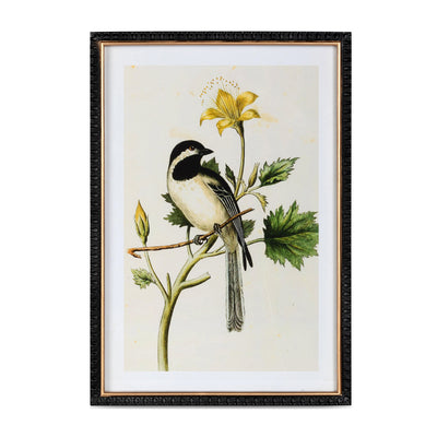 Set of 4 Summer Bird Framed Prints