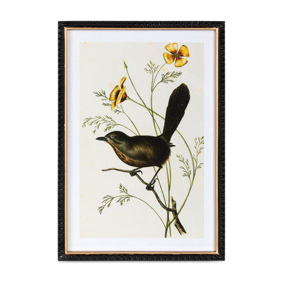 Set of 4 Summer Bird Framed Prints