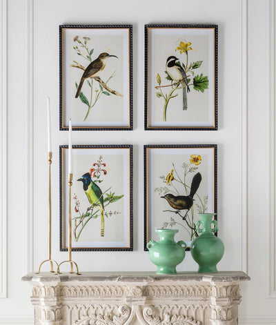 Set of 4 Summer Bird Framed Prints