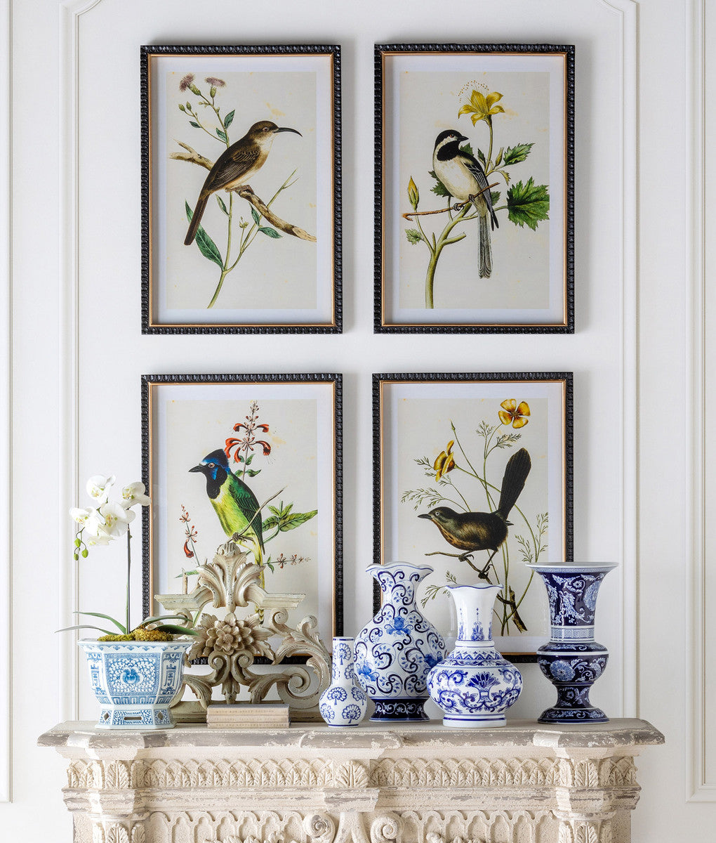 Set of 4 Summer Bird Framed Prints