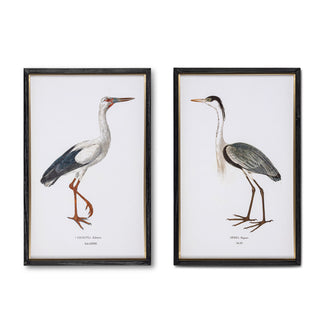 Set of 2 Framed Coastal Heron Prints