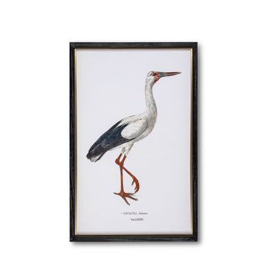 Set of 2 Framed Coastal Heron Prints