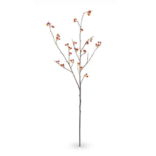 36" Bitter Sweet Stem