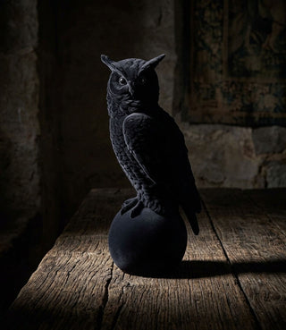 Flocked Black Velvet Owl