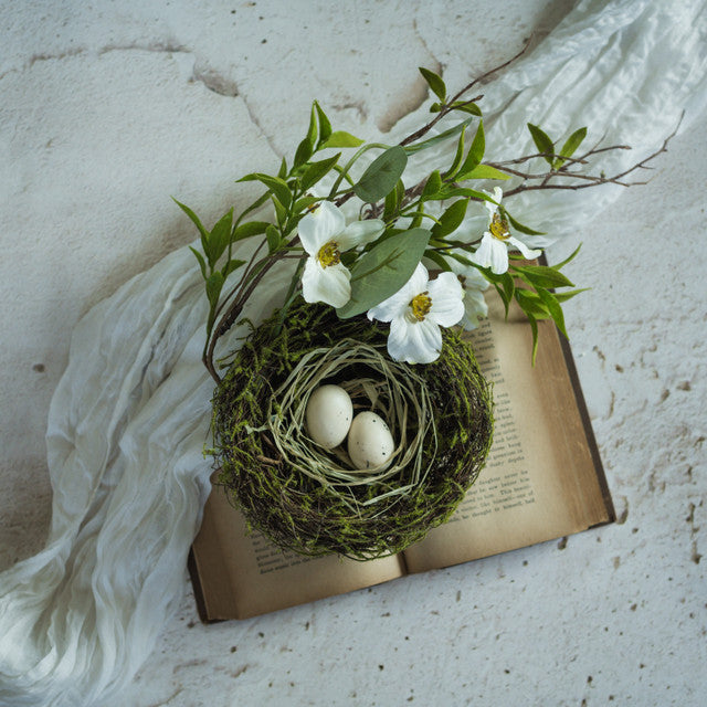 15" Bird Nest with Dogwood Branches