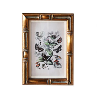 The Burnley Matted Frame - 4"x 6"