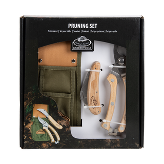 Pruning Set