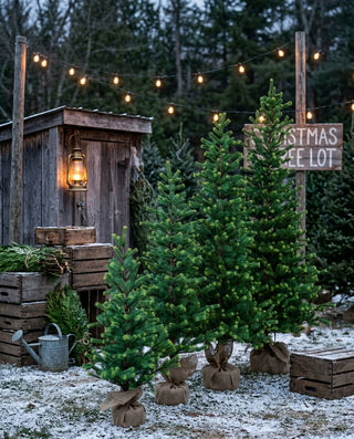 Gracious Greens Pine Tree - Choose Size