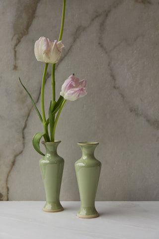 Chasing Rainbows Budvase Collection - Choose Color